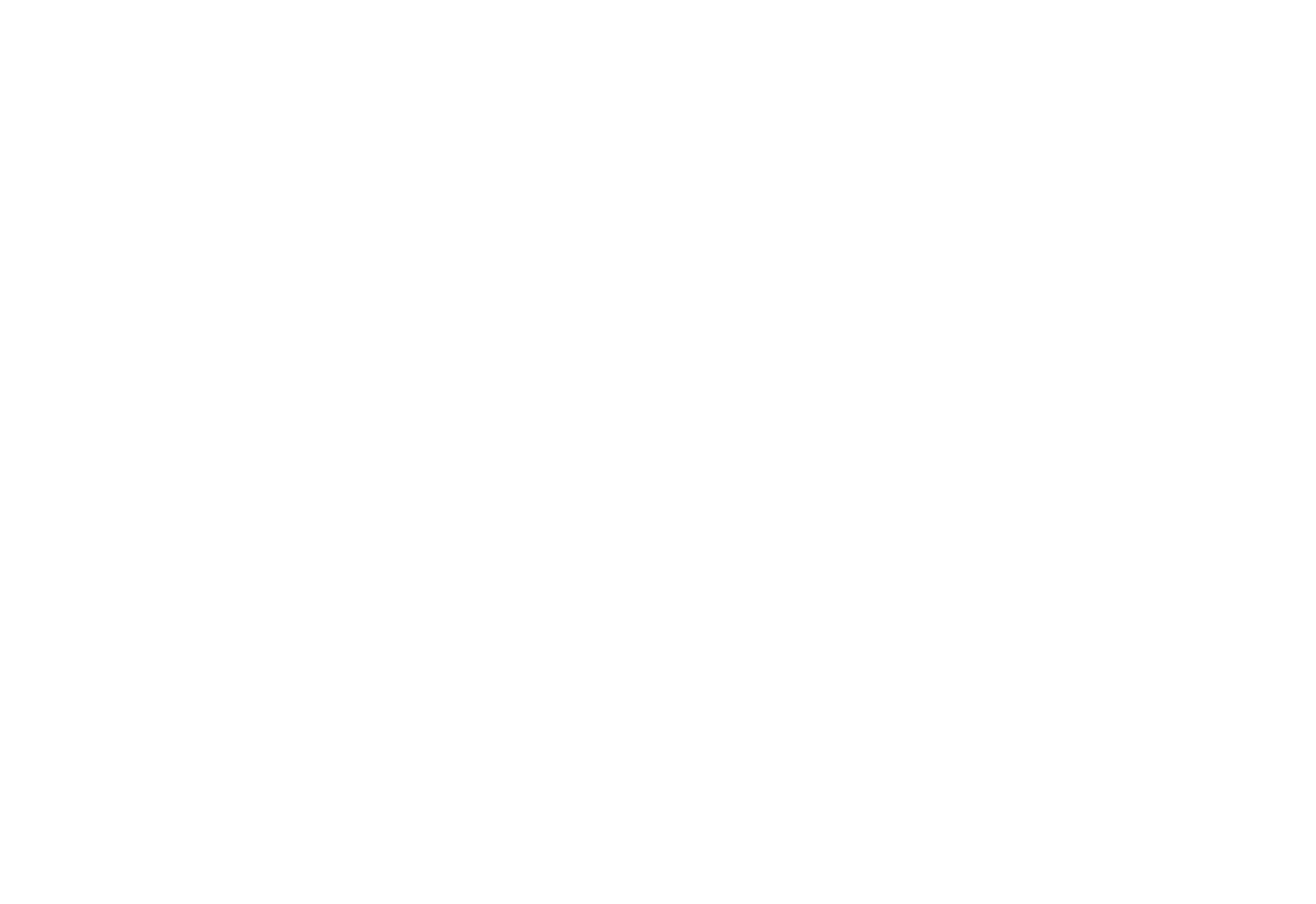 Individual Solution for Projects